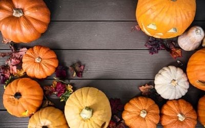 October Treat – Pumpkin Pie